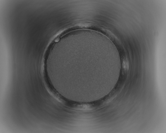 X0000113300492200909281107