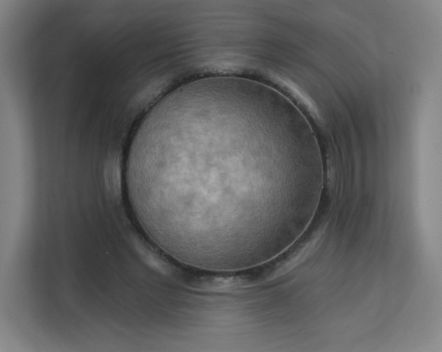 X0000113300493200909281107