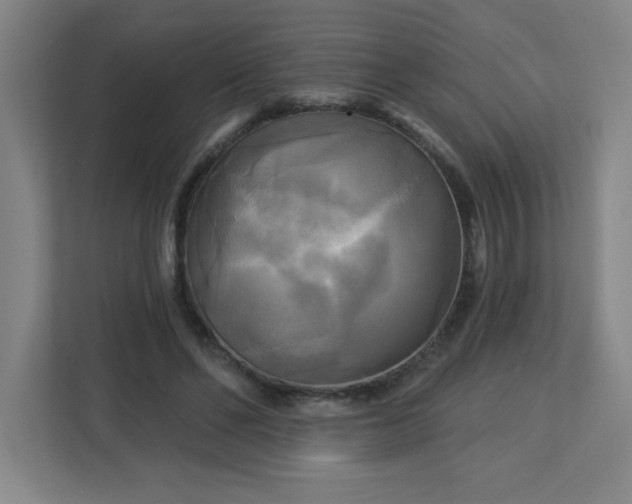 X0000113300494200909281107