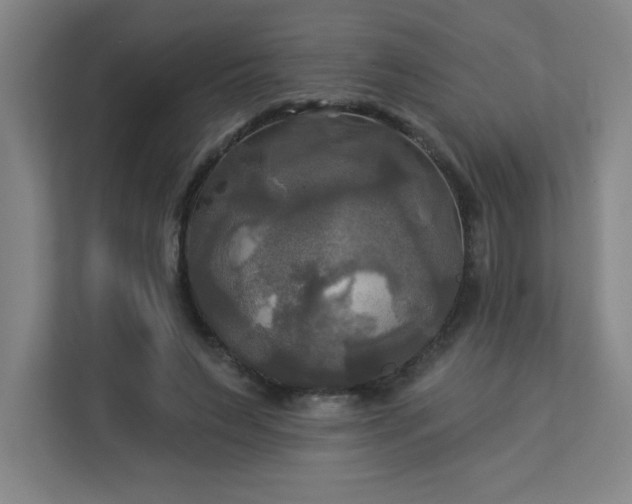 X0000113300495200909281107