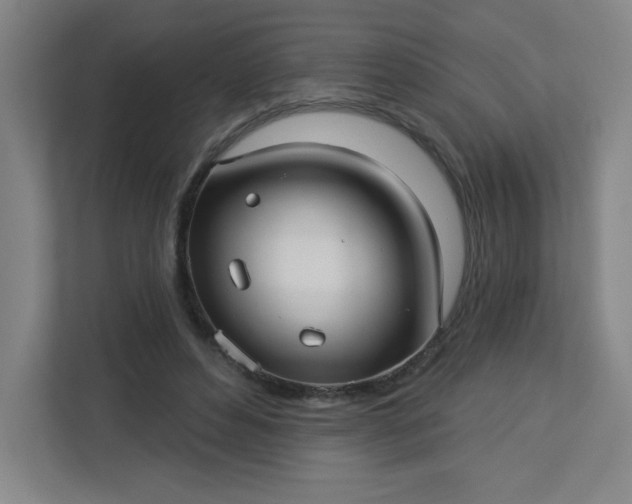 X0000113300496200909281107