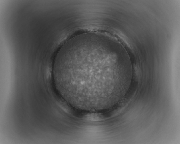 X0000113300499200909281107