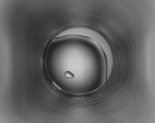 X0000113300500200909281107