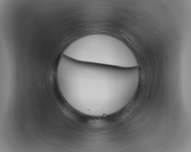 X0000113300503200909281107