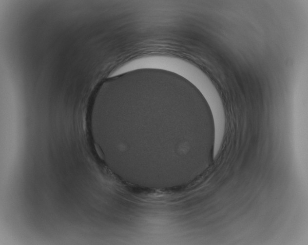 X0000113300504200909281107