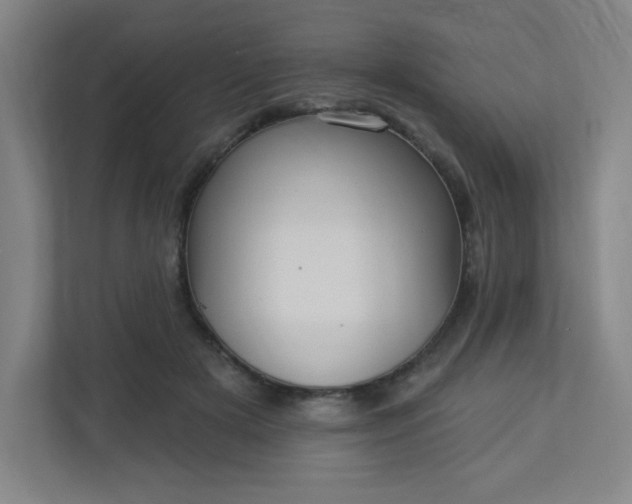 X0000113300505200909281107