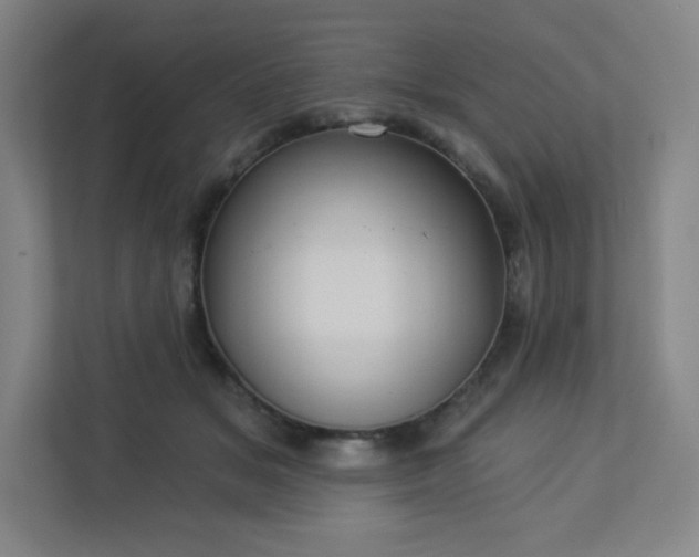 X0000113300509200909281107