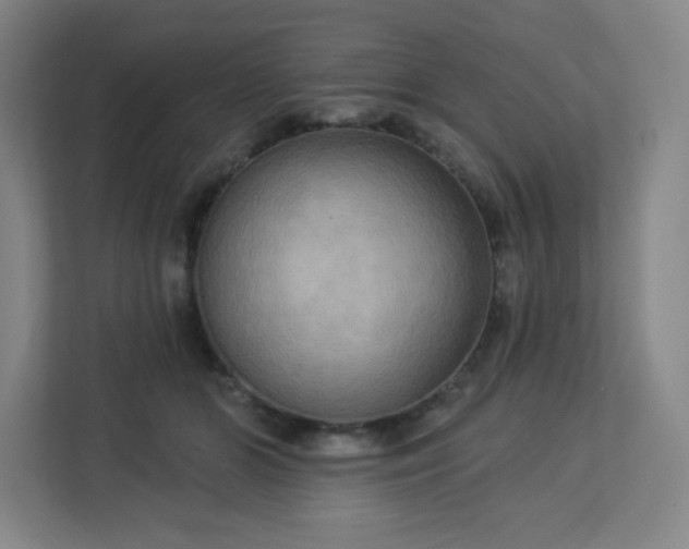 X0000113300510200909281107