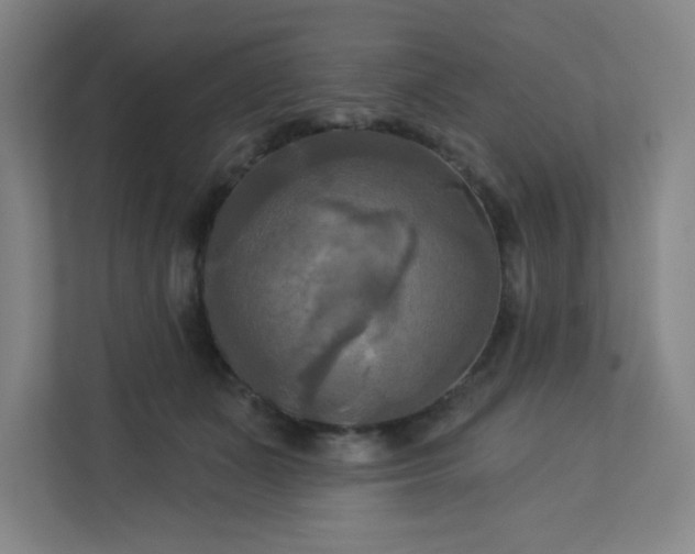 X0000113300511200909281107