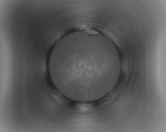 X0000113300512200909281107