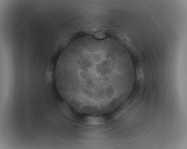 X0000113300515200909281107