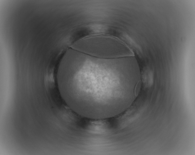 X0000113300516200909281107