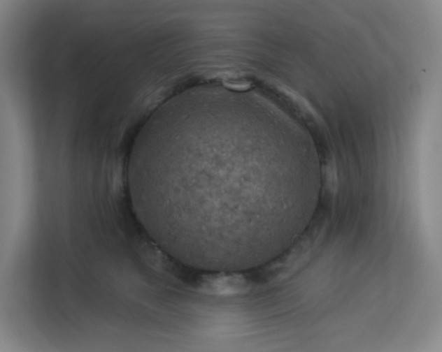 X0000113300517200909281107