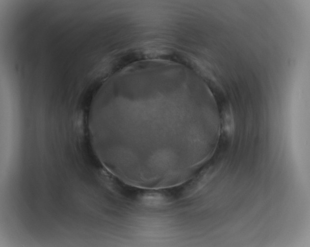 X0000113300519200909281107