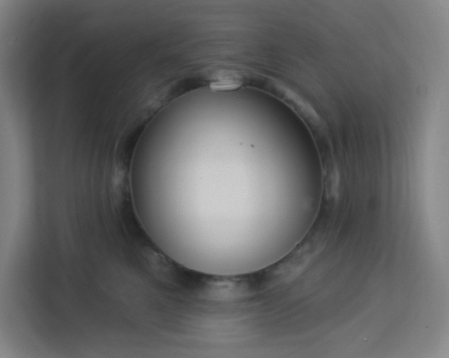 X0000113300521200909281107