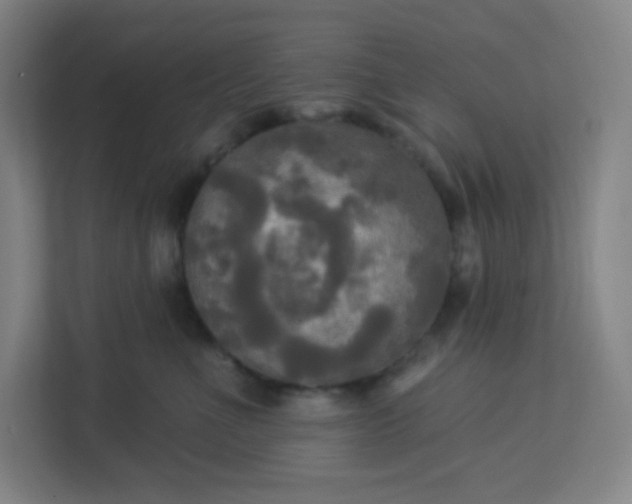 X0000113300523200909281107