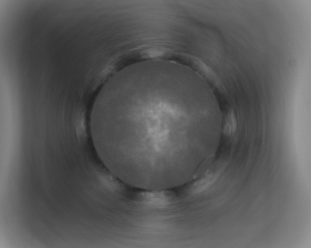 X0000113300524200909281107