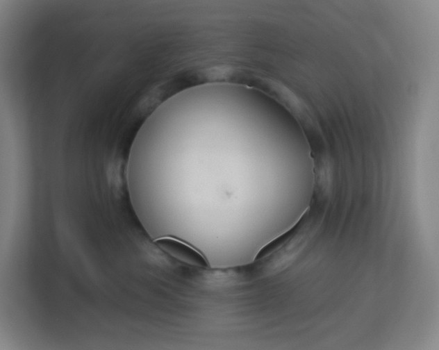 X0000113300525200909281107