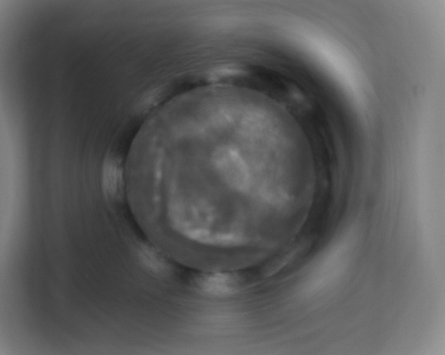 X0000113300527200909281107