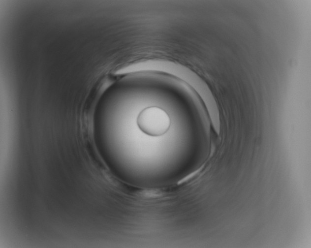 X0000113300528200909281107