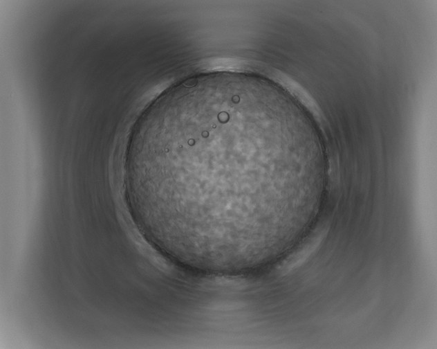 X0000113300529200909281106