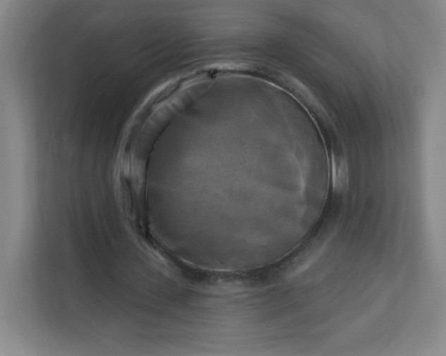 X0000113300531200909281106