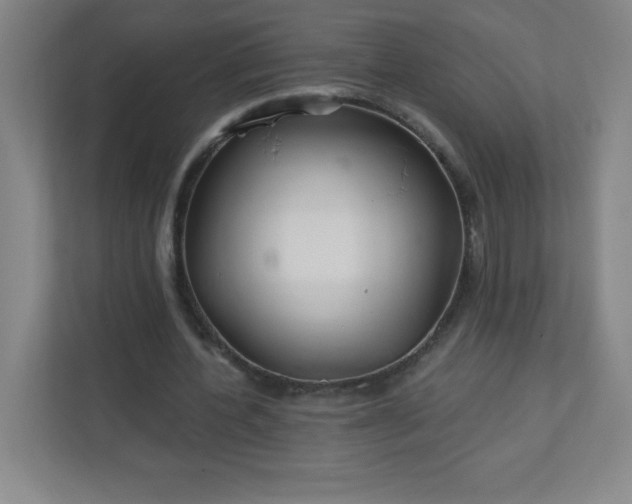 X0000113300532200909281106