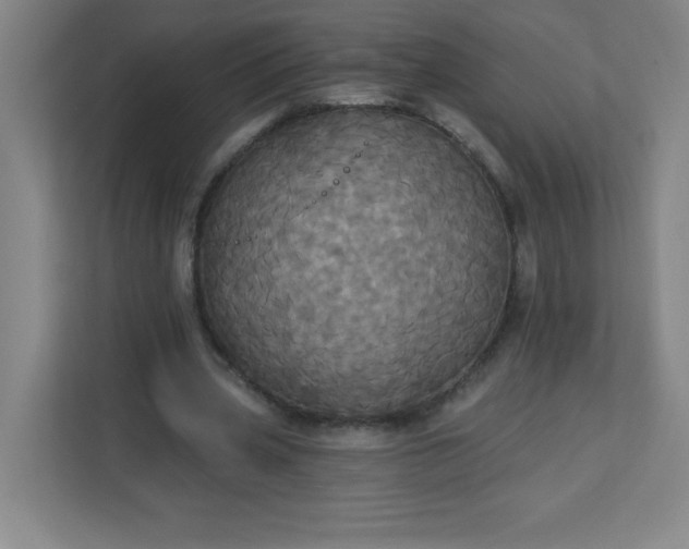 X0000113300533200909281106