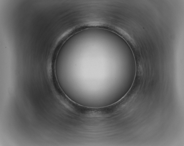 X0000113300535200909281106