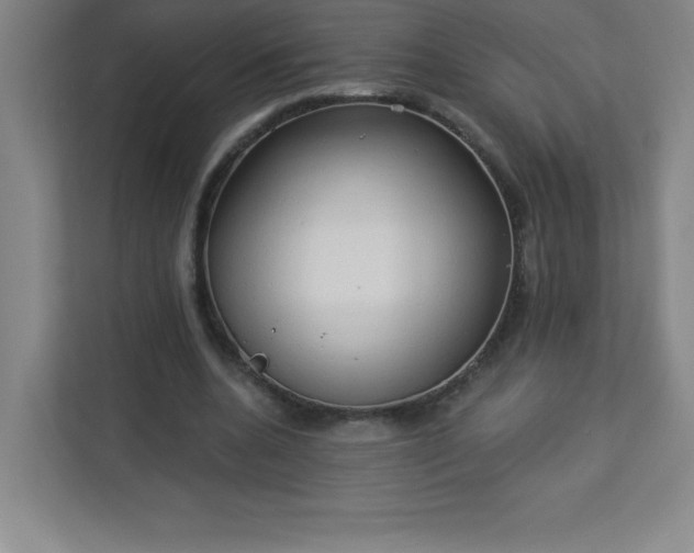 X0000113300536200909281106