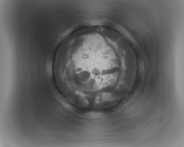 X0000113300537200909281106