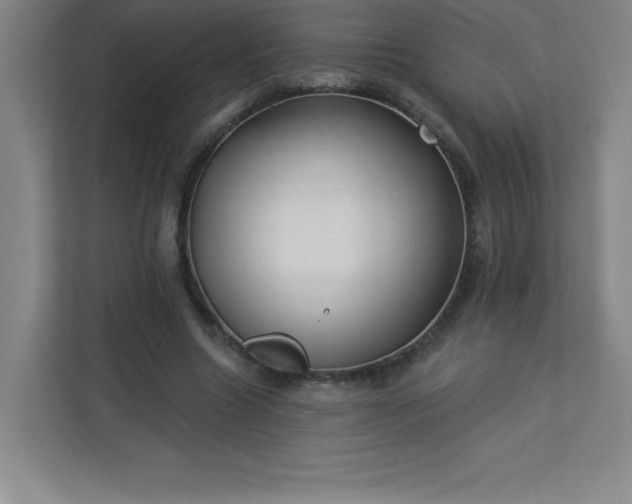 X0000113300538200909281106