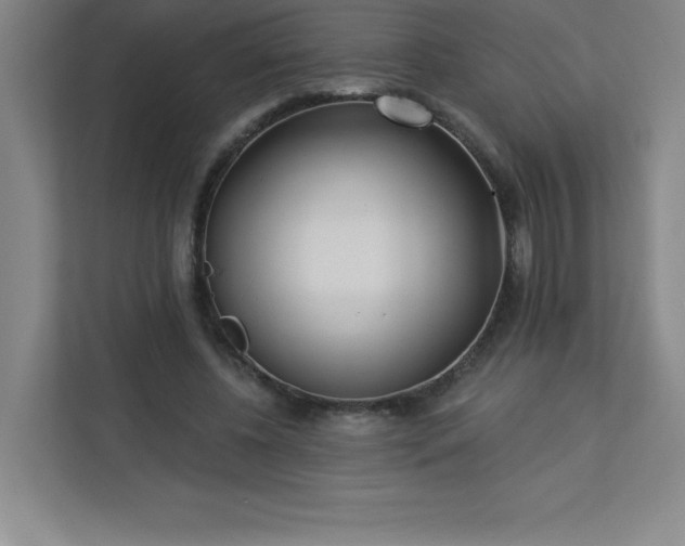 X0000113300540200909281106