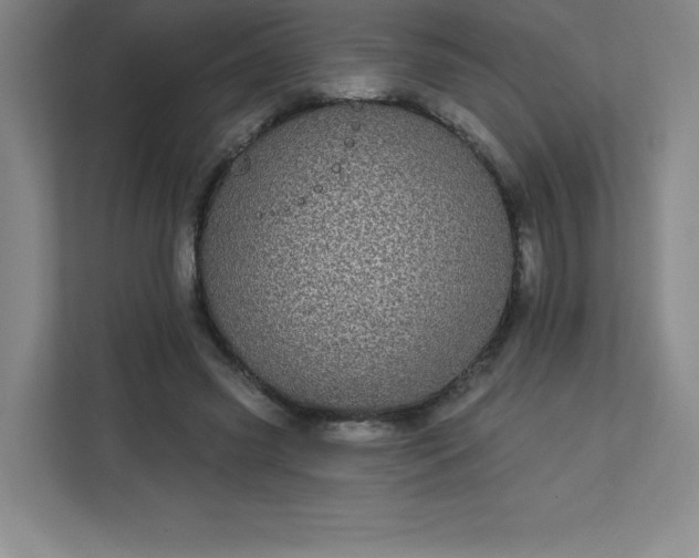 X0000113300541200909281106