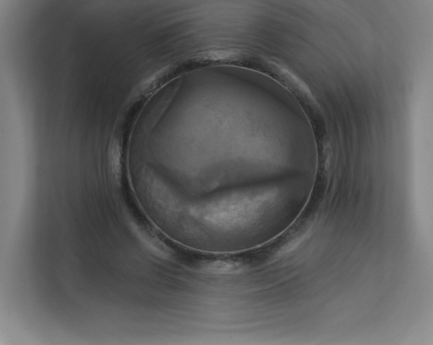 X0000113300542200909281106