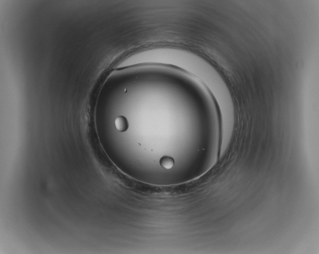 X0000113300544200909281106