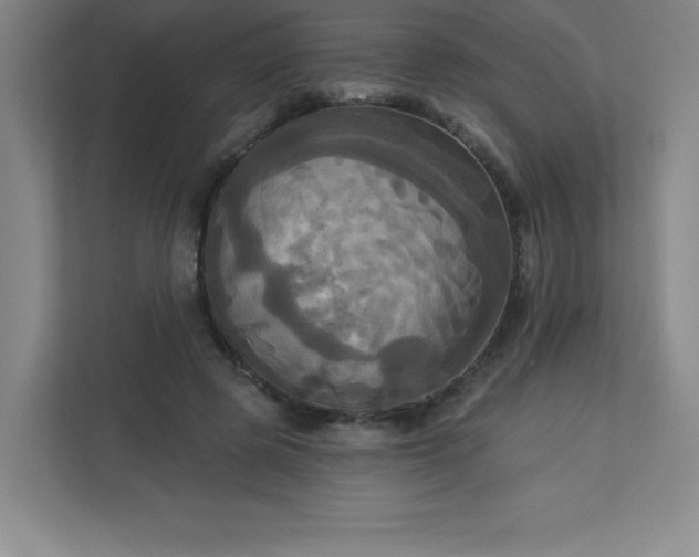 X0000113300545200909281106