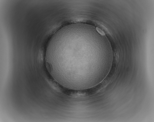 X0000113300546200909281106