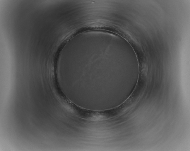 X0000113300547200909281106