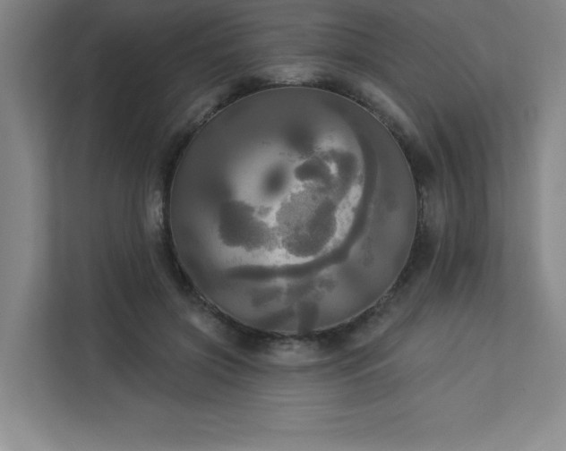 X0000113300549200909281106