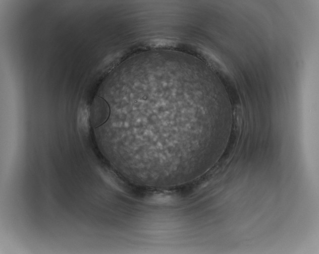 X0000113300550200909281106