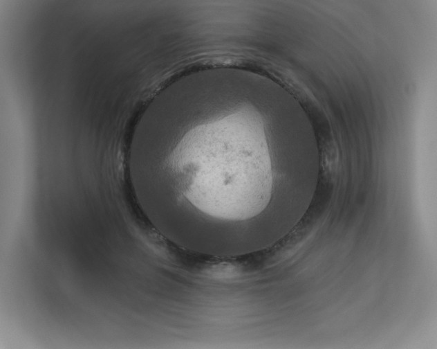 X0000113300551200909281106