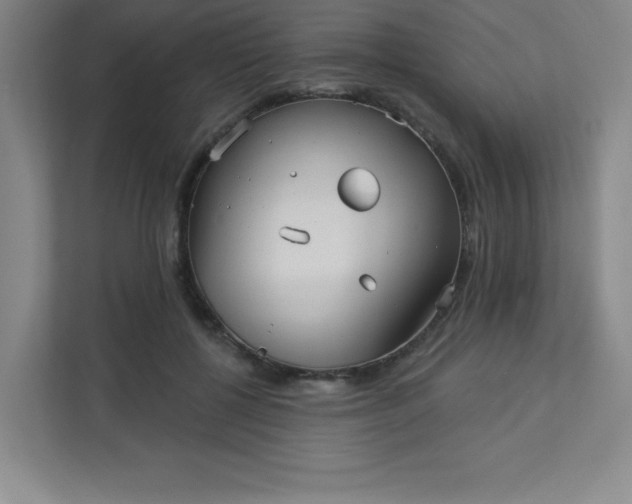 X0000113300552200909281106