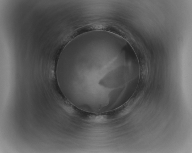 X0000113300553200909281106