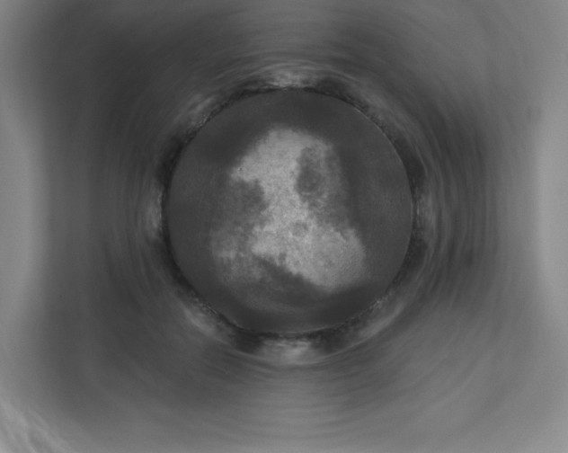 X0000113300554200909281106