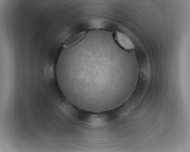 X0000113300556200909281106