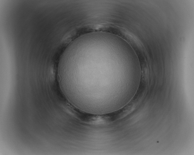 X0000113300558200909281106