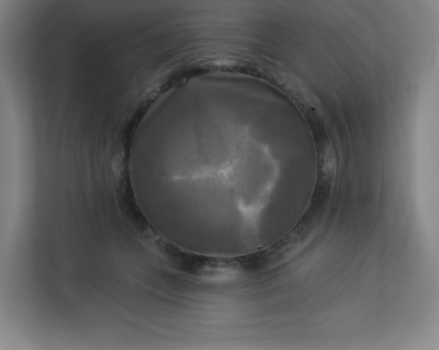 X0000113300559200909281106