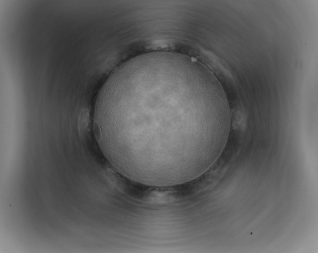 X0000113300560200909281106