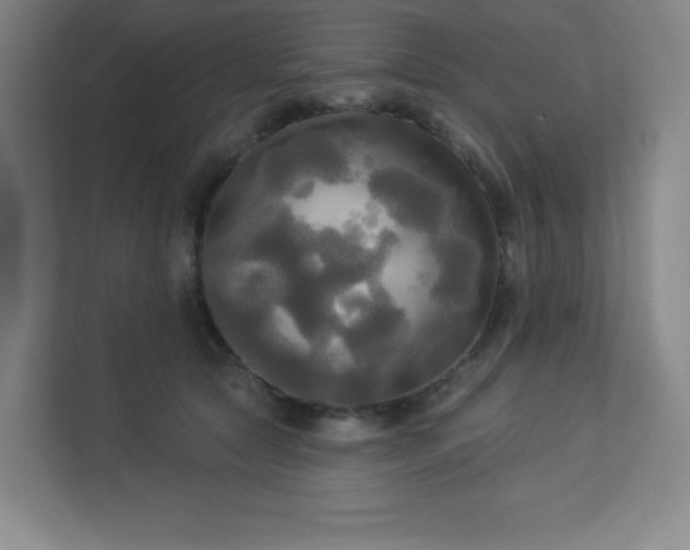 X0000113300561200909281106